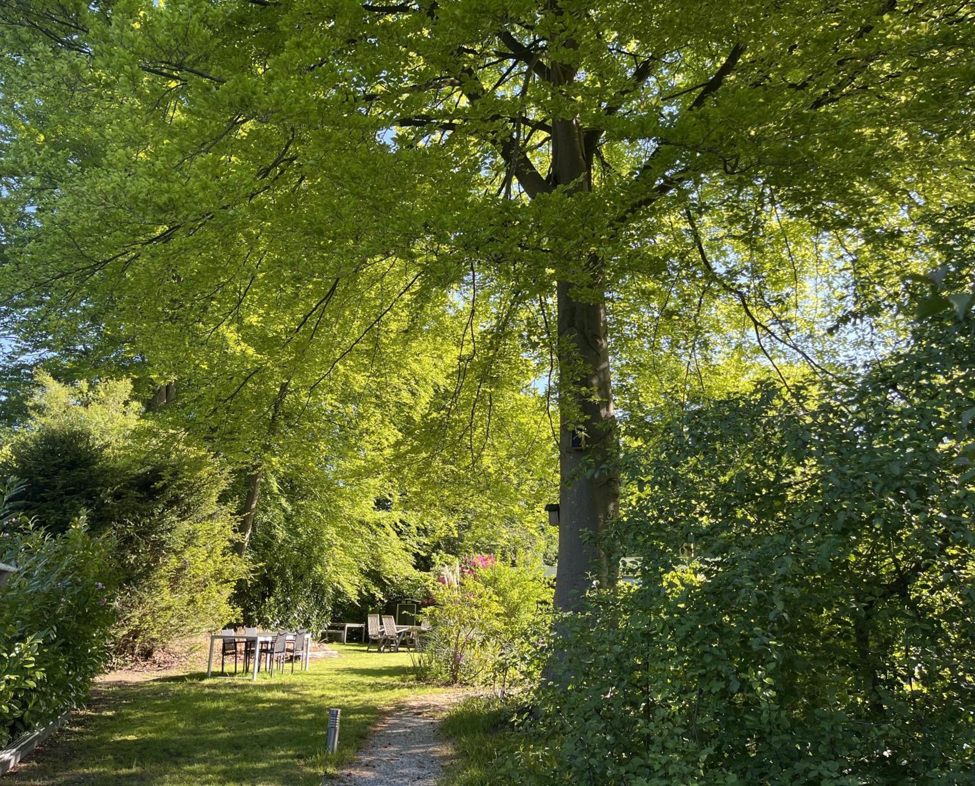 בידינגהאוזן Bungalowpark De Bremerberg חדר תמונה